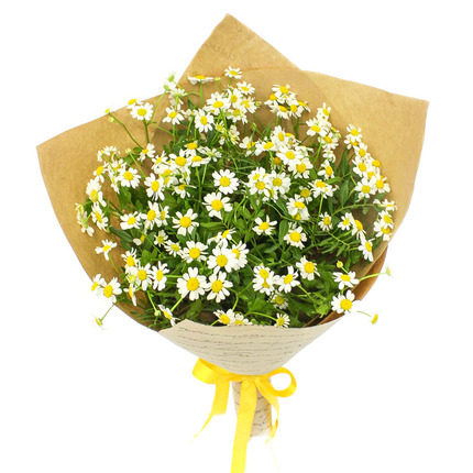 Милые ромашки