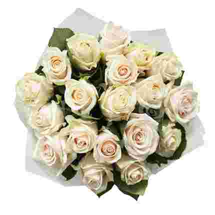 Букет кремовых роз