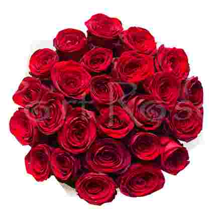 Букет красных роз