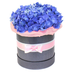 Гортензии в шляпной коробке