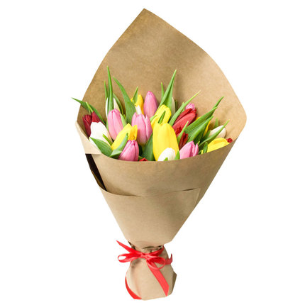 25 разноцветных тюльпанов