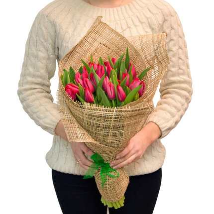 Tulipa